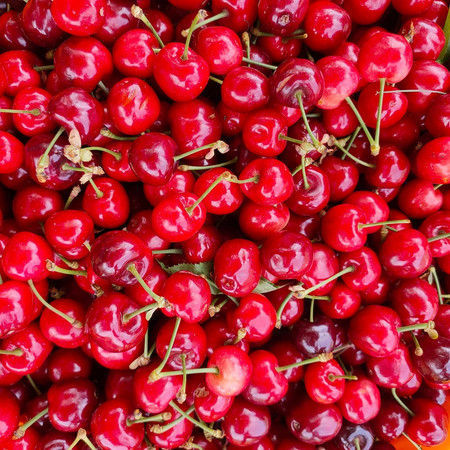 樱桃新品尝鲜盛宴,甜美盛宴开启!