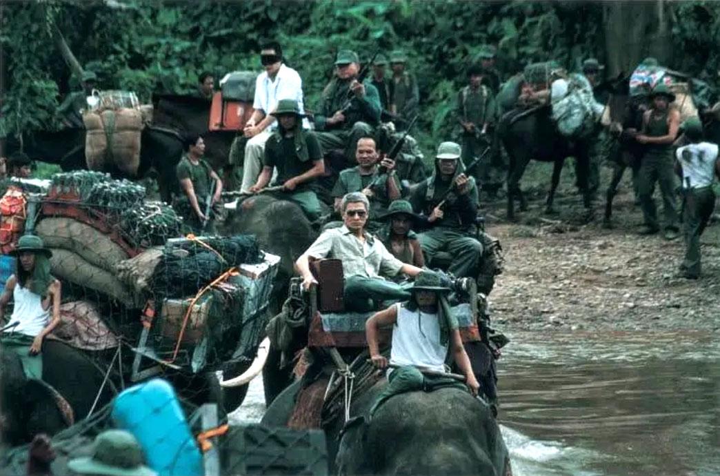 刘德华经典电影之旅,不容错过的电影之旅