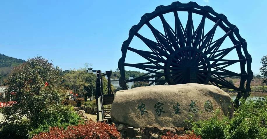 最新旅游政策与疫情动态,世界变迁中的旅行热情持续燃烧