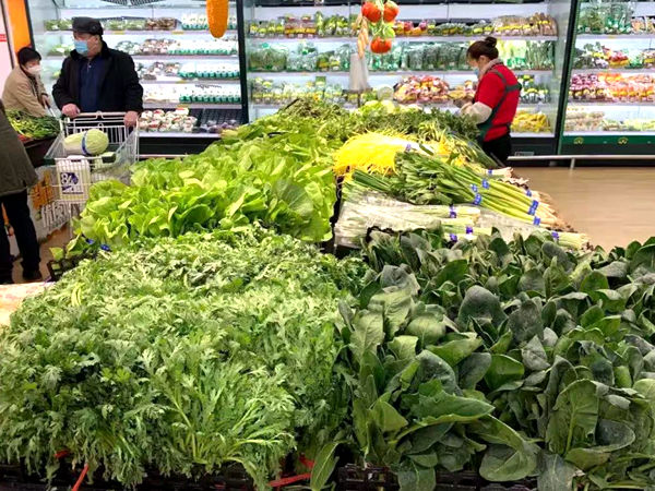 今日蔬菜价格概览,科技推动绿色生活新纪元