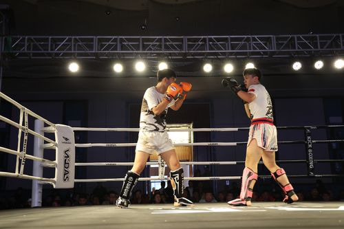 自由格斗比赛视频,自然美景中的鼓舞之旅