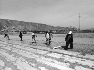 陇西通安驿镇最新动态概览