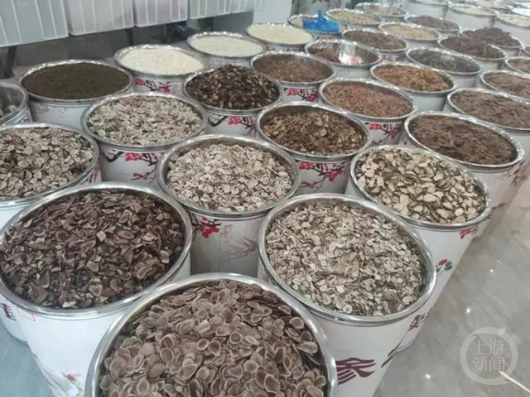 中药行情深度解析,入门指南与技能进阶攻略