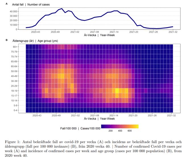 瑞典最新疫情动态更新与实时追踪📢