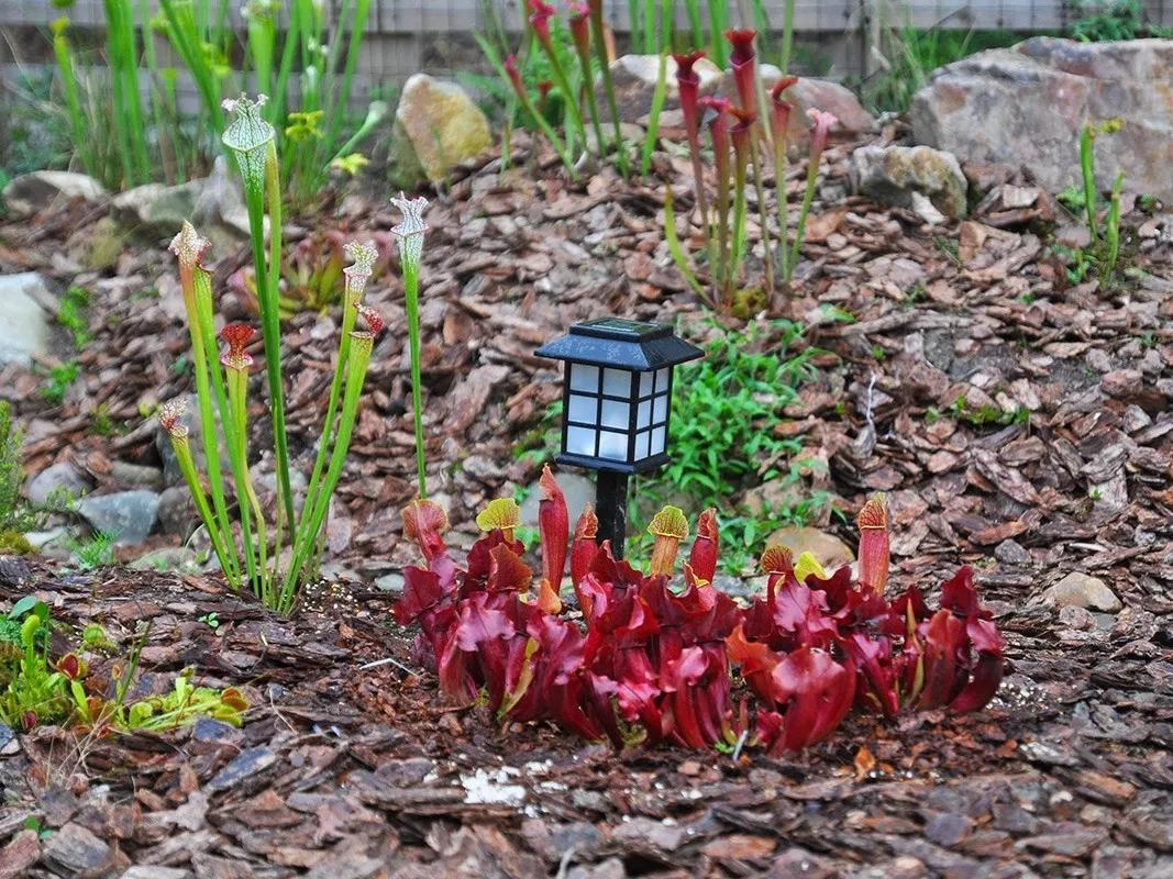 小虫网最新职位招聘,一起探索自然美景,寻找内心平静之旅