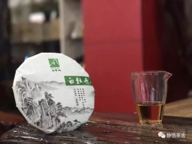 福鼎白茶价格探索之旅，寻找内心平静的旅程