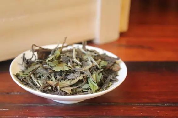 福鼎白茶价格探索之旅,寻找内心平静的旅程