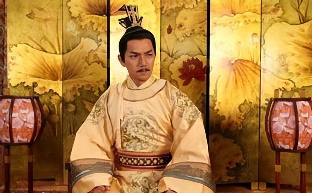 妃子笑演员,演艺之路的闪耀之星