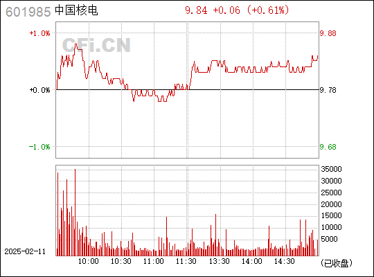 中国核电股票601985投资价值深度解析