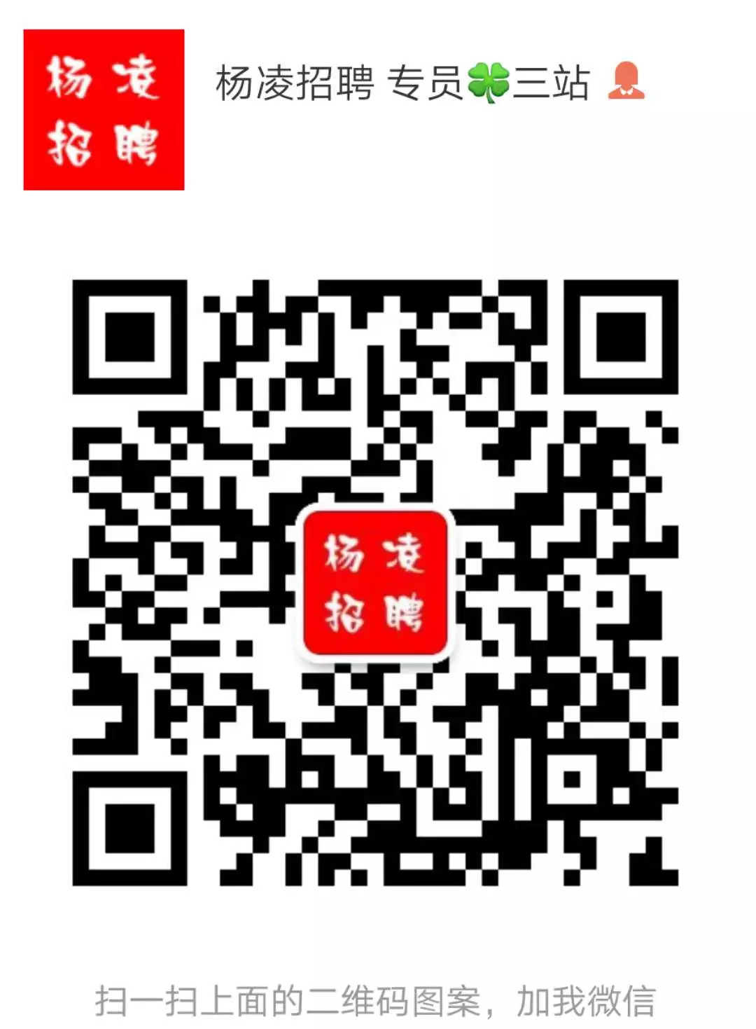 杨凌兼职信息探索,兼职新领域的探索之旅