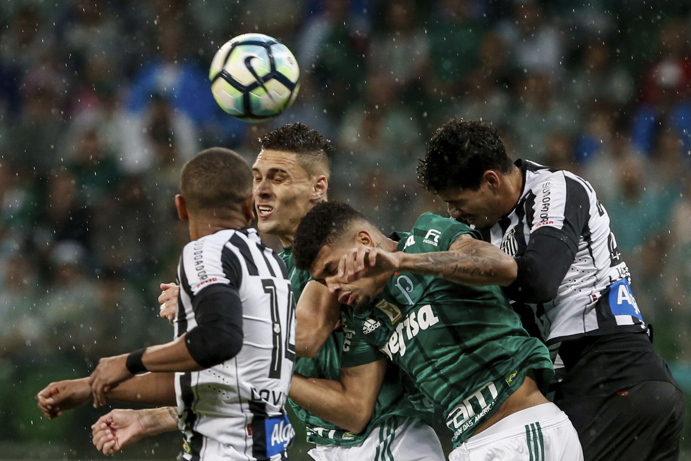 巴甲比赛结果详解,初学者与进阶用户的查看与理解指南