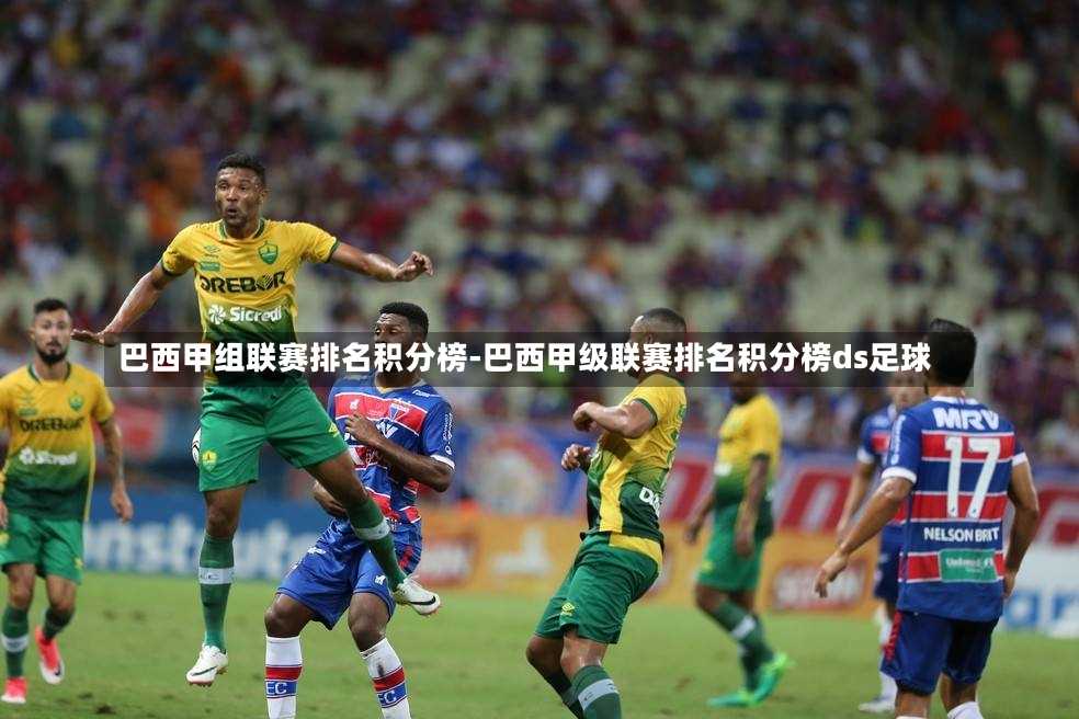 巴甲比赛结果详解,初学者与进阶用户的查看与理解指南