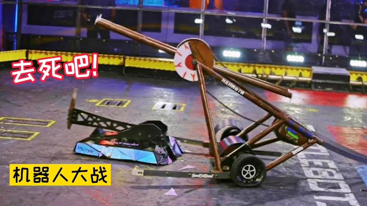 机器人大战比赛,钢铁巨匠的温馨对决盛宴