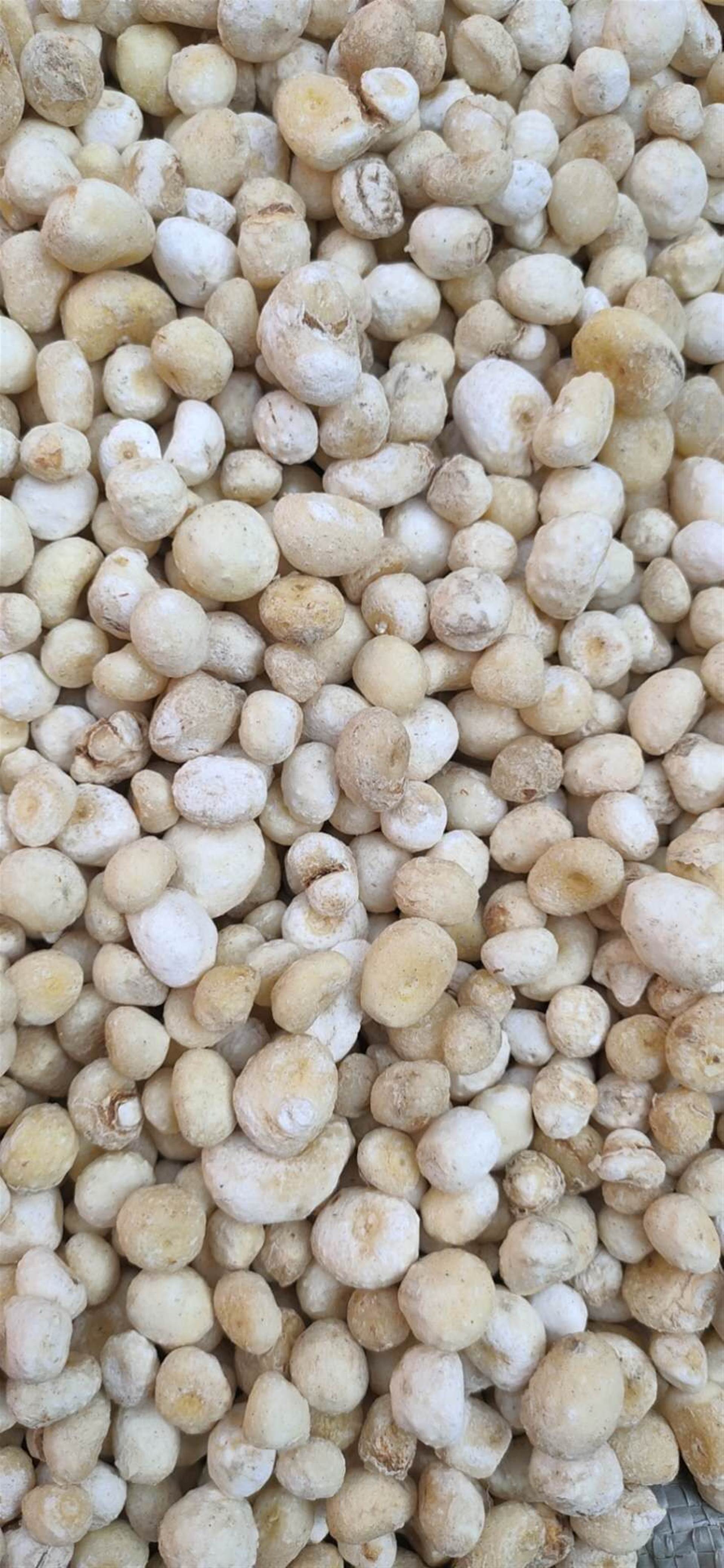 半夏最新报价,科技新星引领未来生活新体验风潮