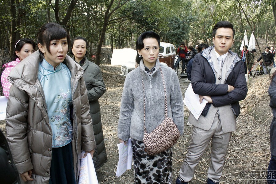 泪洒女人花演员阵容表