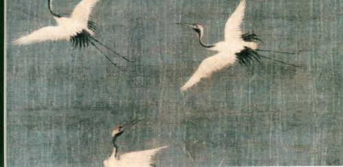 蝗灾最新动态报告,最新情况分析