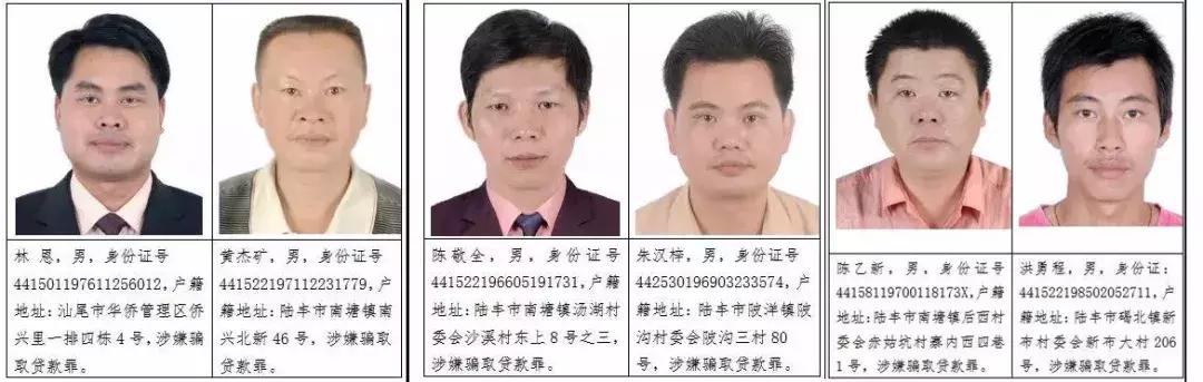 陆丰城市发展最新动态与亮点资讯速递