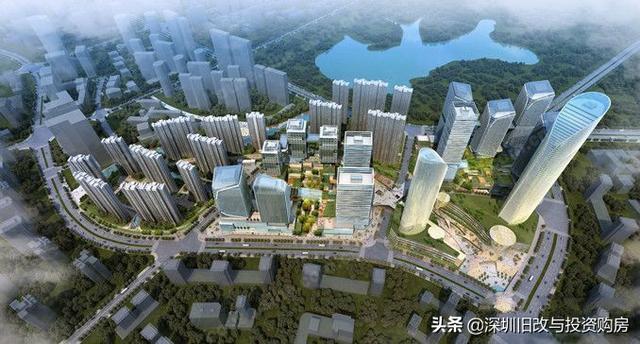 龙岗最新资讯,学习变革,自信成就未来之路