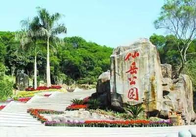 厦门最新资讯,城市发展的步伐与深远影响