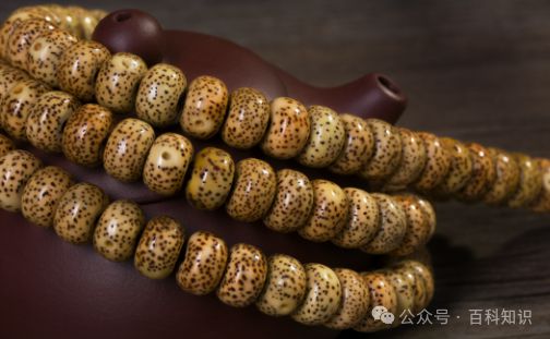 花根菩提子手串价格详解，市场解析与购买指南