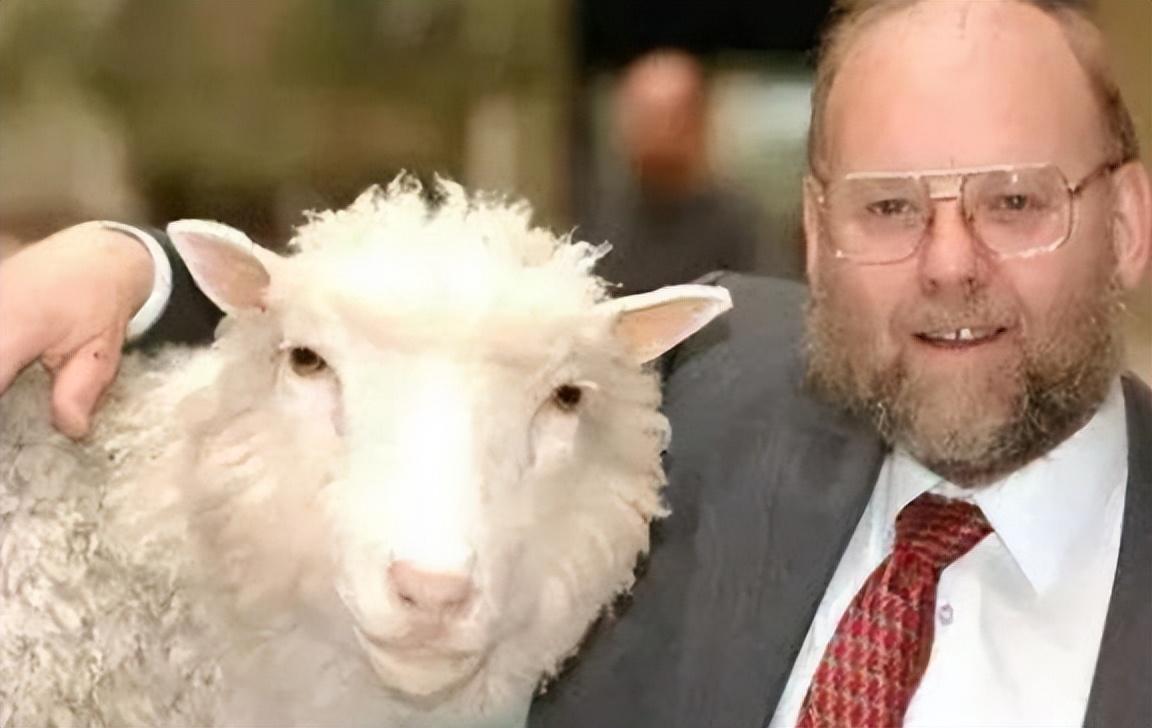 九七理伦电影详解,观看与理解电影艺术的步骤指南