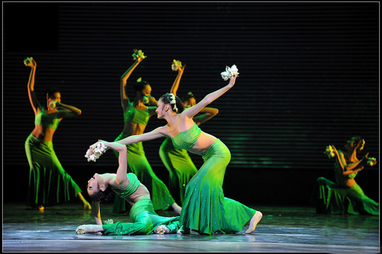 傣族舞蹈新篇章,韵律之美与时代交响