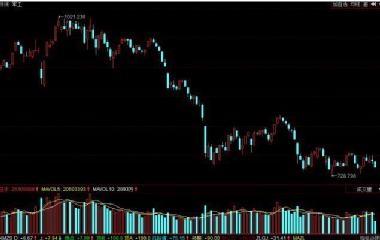 德新交运股票背后的故事,小巷中的隐藏特色小店的探索之旅