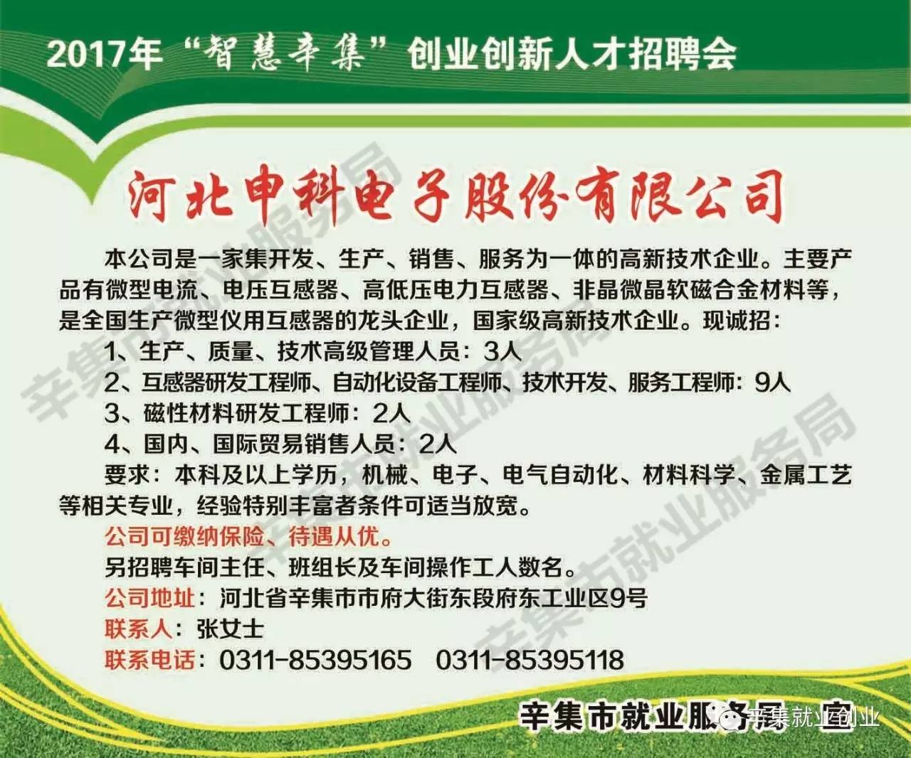 辛集最新招聘信息揭秘,小巷中的职业机遇探索
