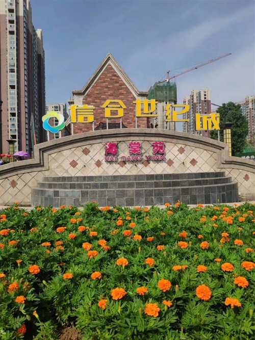 信合世纪城最新房产价格信息速递🏠💎