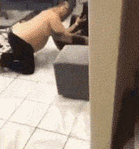 深度探索网络时代潜在威胁,最新邪恶动态解析图解析