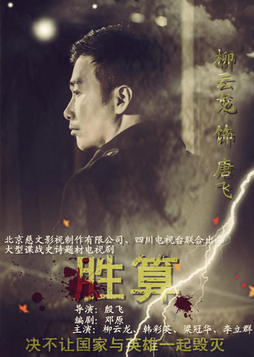 电视剧胜算,心灵与自然的美丽交融之旅