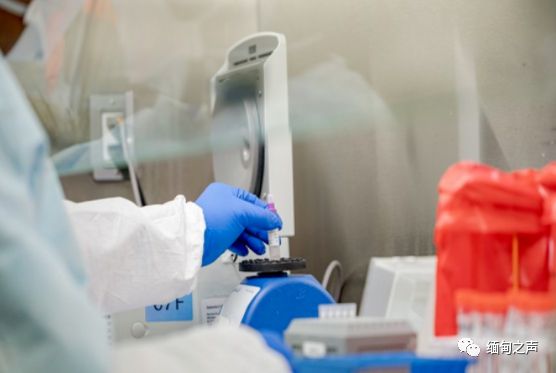 缅甸疫情最新通报更新,最新疫情动态与防控措施