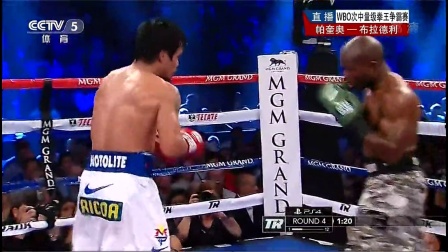 与自然美景同行,2025年世界拳王争霸赛回顾与精彩瞬间