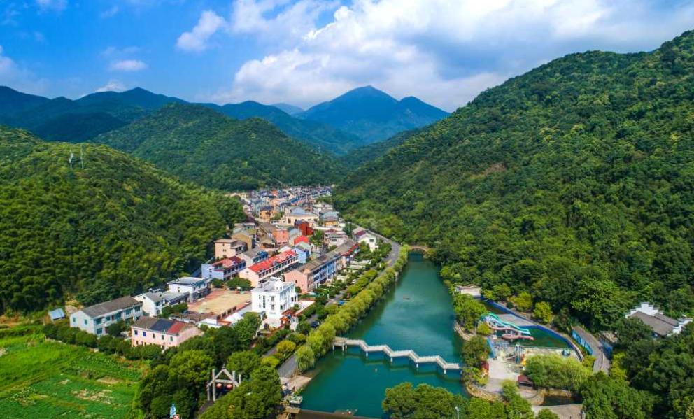 浙江东方股票最新动态与小巷深处的特色小店揭秘