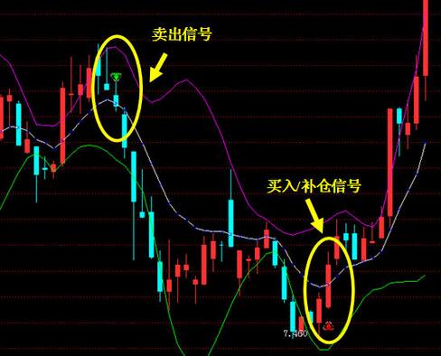 股票术语详解，心灵之旅与自然的交织之美