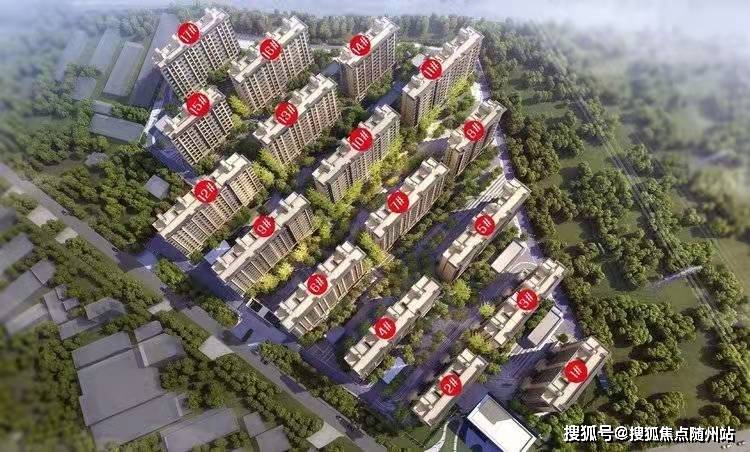 义乌九洲百合最新动态大全,全面指南与步骤详解