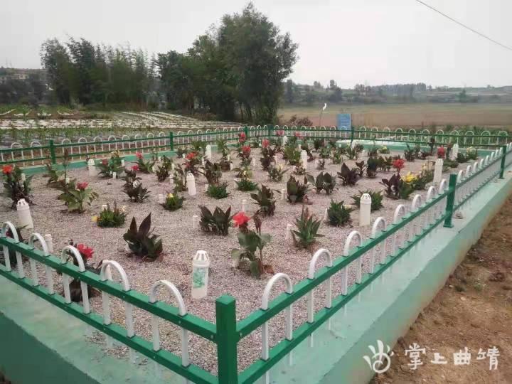 沾益九龙水库最新进展,日常中的温馨进展故事