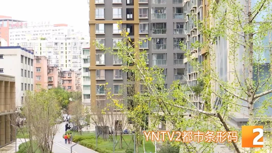 技术转让 第167页