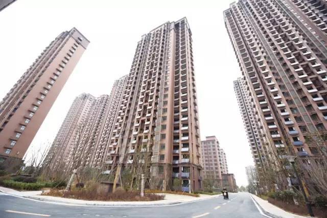 郑州市中原区公租房最新动态更新