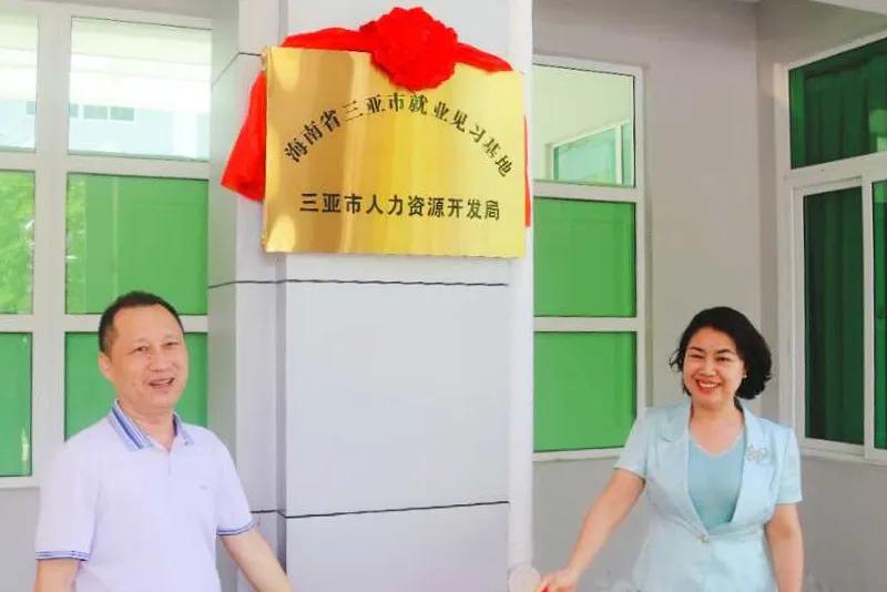 三亚市人才市场最新招聘信息揭秘，小巷中的隐藏宝藏，求职者的必看指南