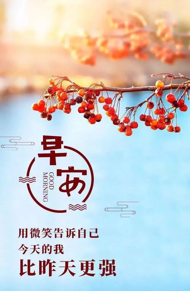 阳光下的温馨日常，最新早安问候