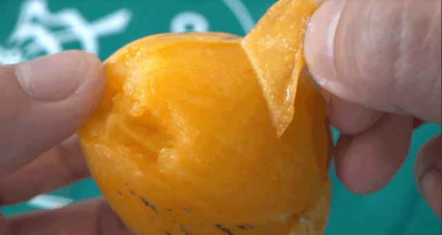 四川仁寿最新动态,城市发展前沿观察报告