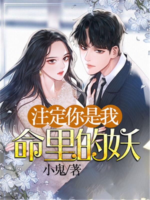 技术咨询 第143页