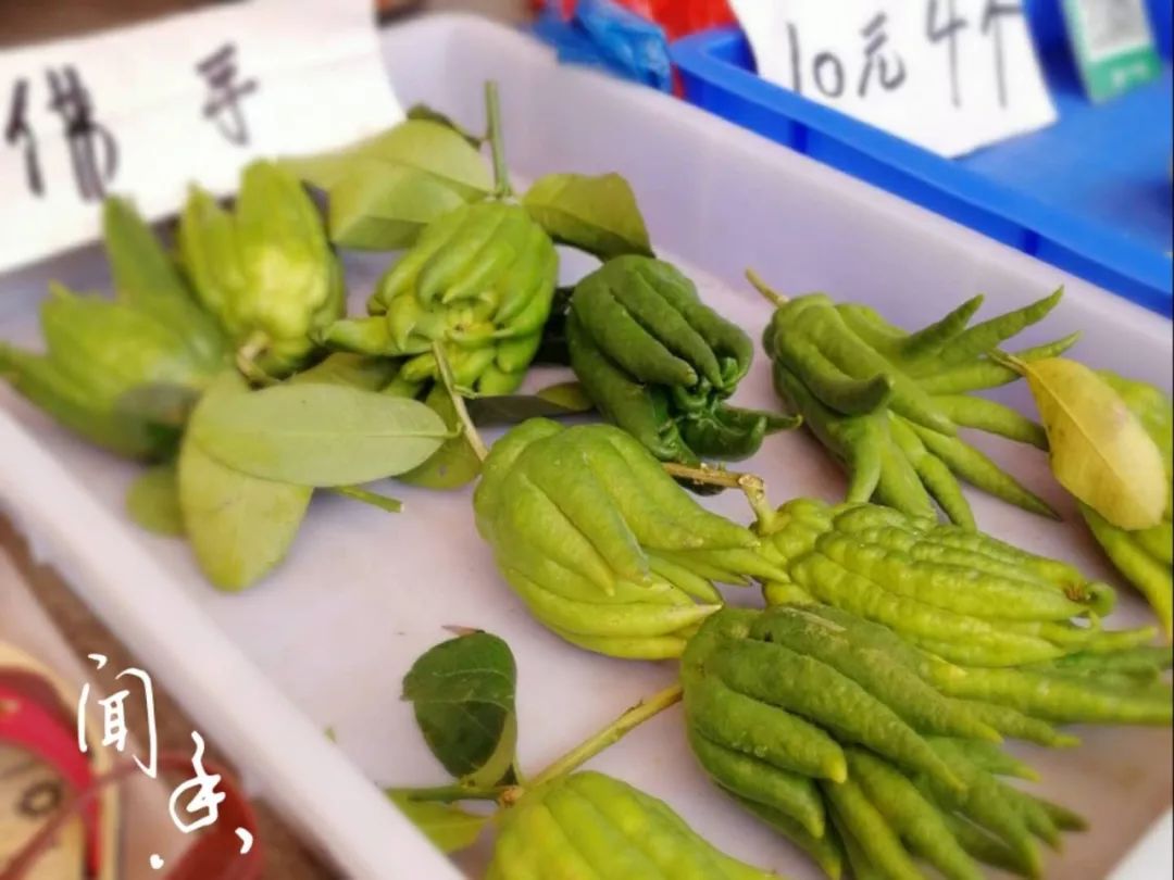 最新佛手价格走势与购买指南,品种差异与市场趋势解析