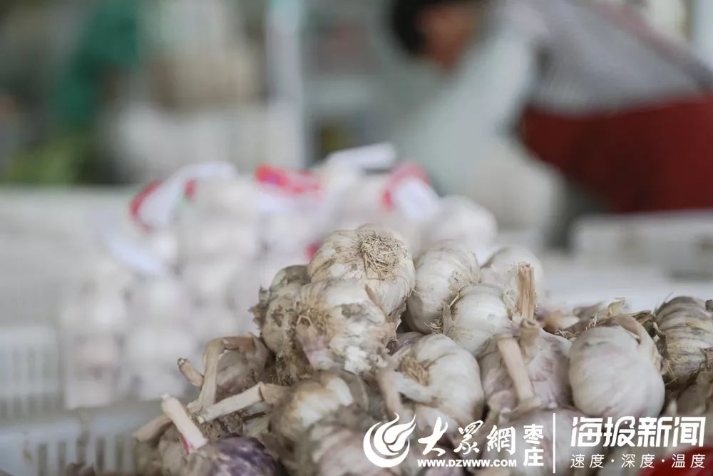 最新蒜价走势分析,多元观点下的市场趋势探讨