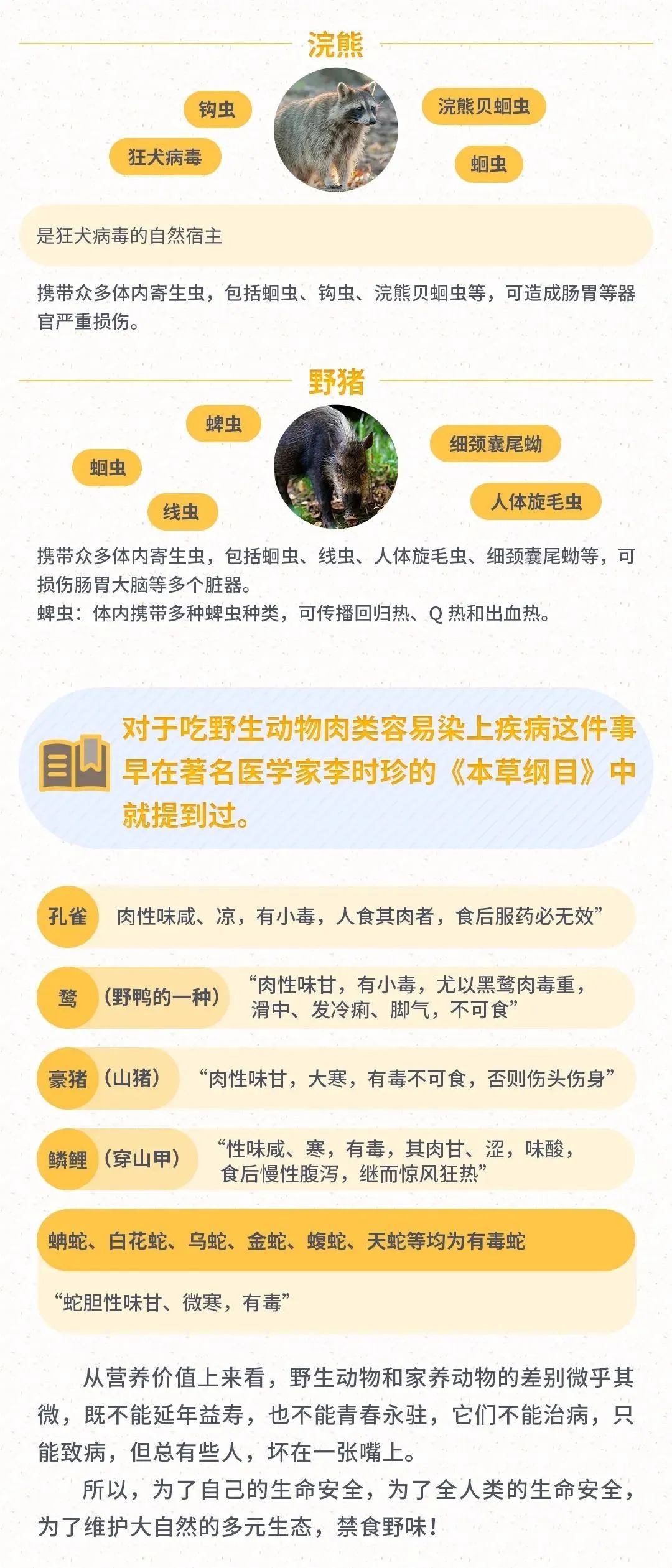 探索未知野味，自信成就梦想之旅