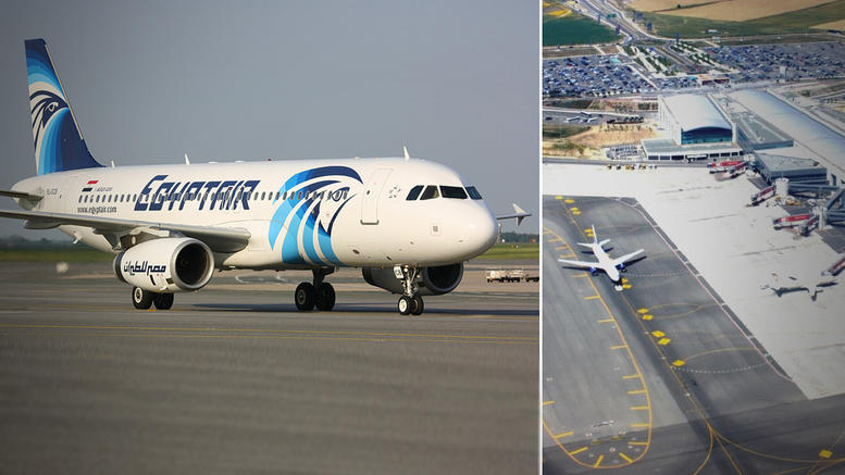 埃及机场重逢,李明与小张的开罗之旅充满欢笑与感动