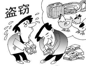 深圳最新盗窃事件深度分析