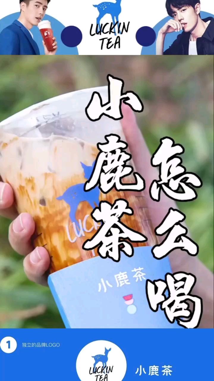 最新小鹿茶,领略独特的茶韵之美