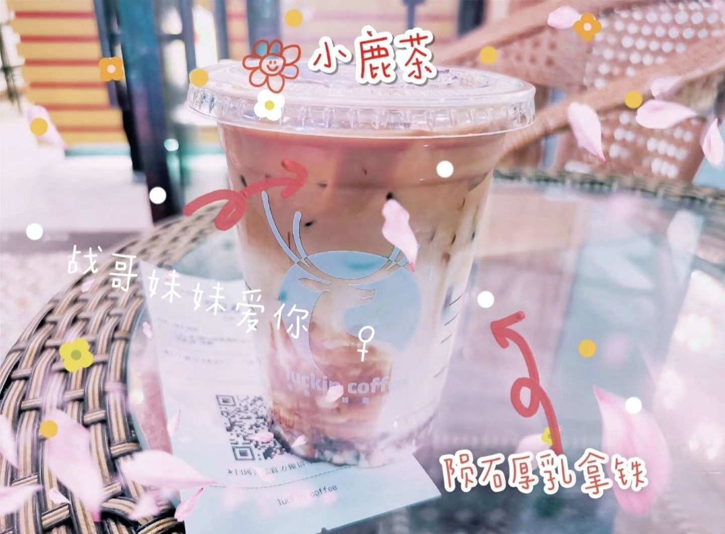 最新小鹿茶,领略独特的茶韵之美